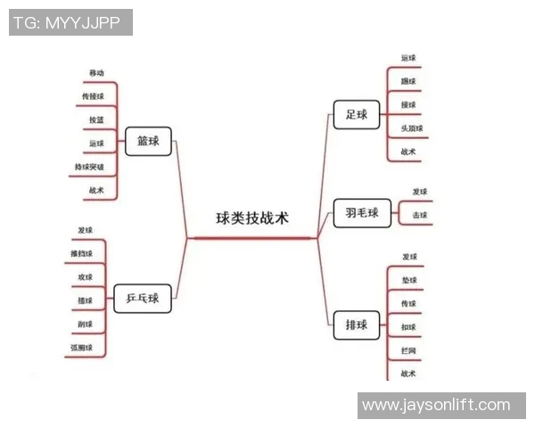 南京排球队进攻策略深度解析与战术创新探讨